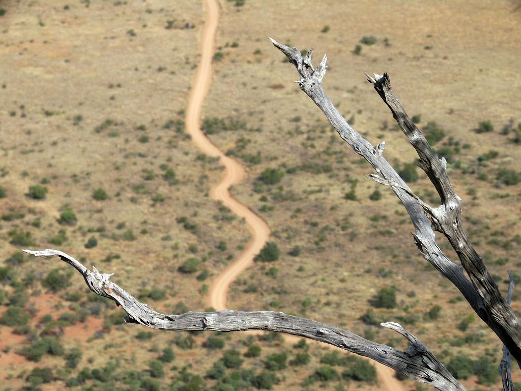 090516_Pilanesberg 203.jpg